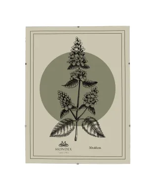 ADI Ramka 30x40cm Antyrama