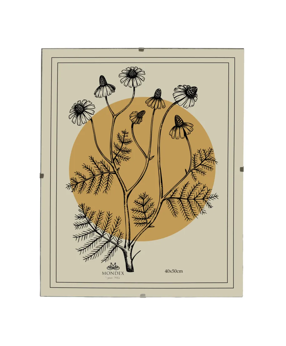 ADI Ramka 40x50cm Antyrama