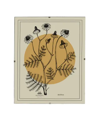 ADI Ramka 40x50cm Antyrama