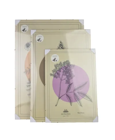 ADI Ramka 50x70cm Antyrama