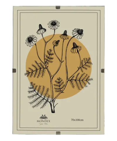 ADI Ramka 70x100cm Antyrama