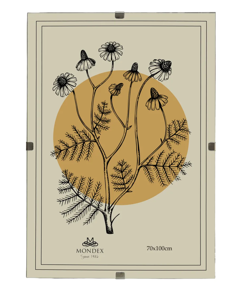 ADI Ramka 70x100cm Antyrama