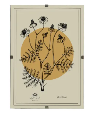 ADI Ramka 70x100cm Antyrama