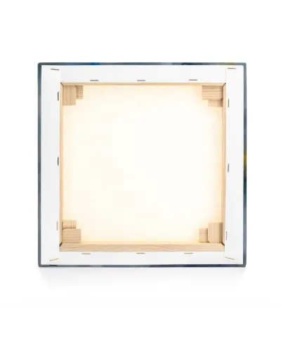 Elephant Stride - obraz na płótnie