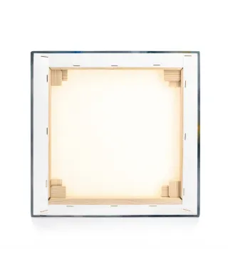 Elephant Stride - obraz na płótnie