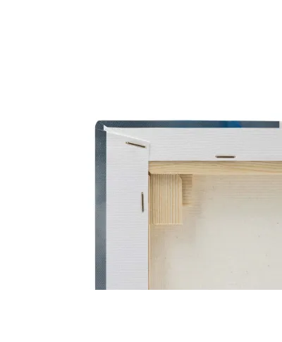 Elephant Stride - obraz na płótnie