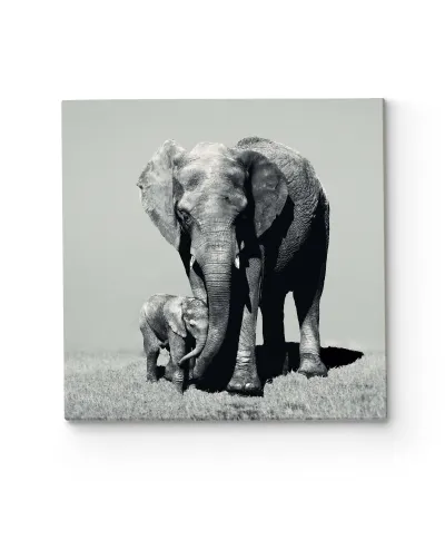 Stay Close - obraz na płótnie