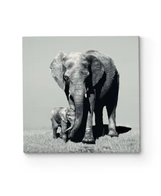 Stay Close - obraz na płótnie