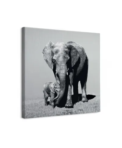 Stay Close - obraz na płótnie