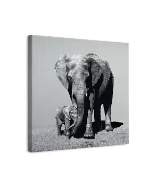 Stay Close - obraz na płótnie