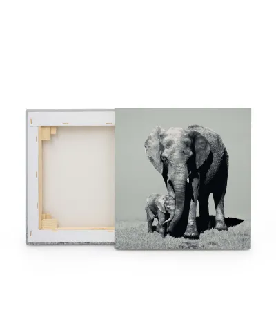 Stay Close - obraz na płótnie