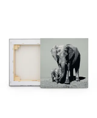 Stay Close - obraz na płótnie