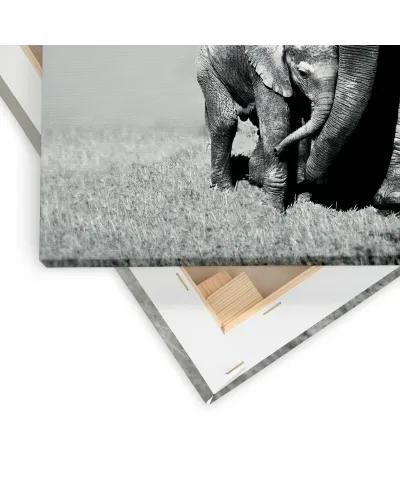 Stay Close - obraz na płótnie