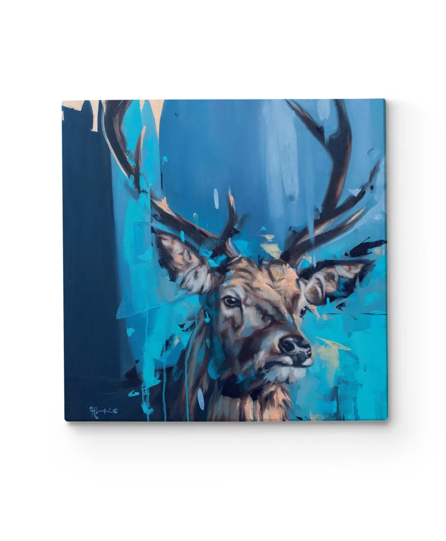 Curiosity - obraz na płótnie