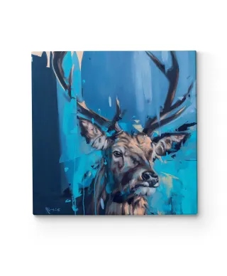 Curiosity - obraz na płótnie