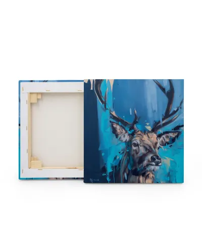 Curiosity - obraz na płótnie