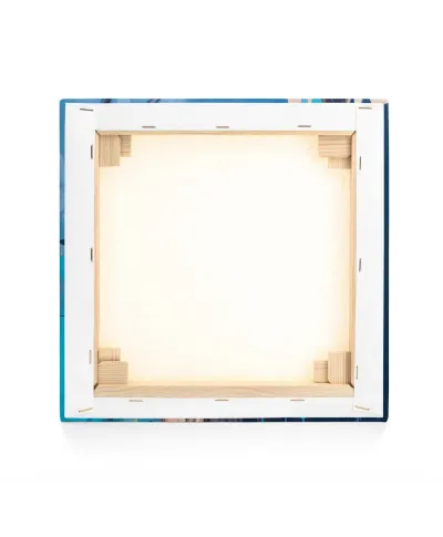 Curiosity - obraz na płótnie