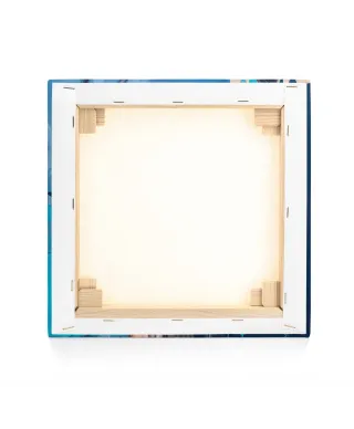 Curiosity - obraz na płótnie