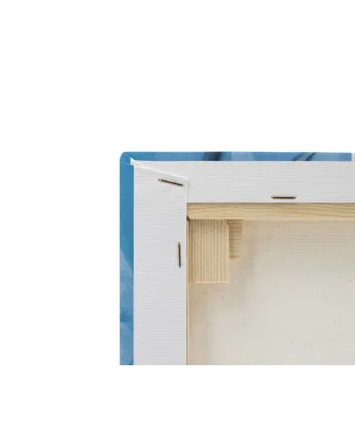 Curiosity - obraz na płótnie