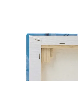 Curiosity - obraz na płótnie