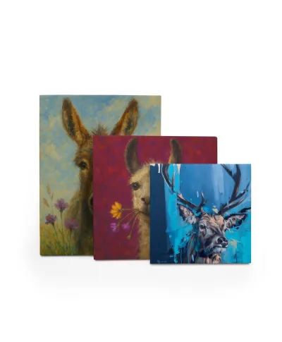 Curiosity - obraz na płótnie