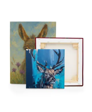 Curiosity - obraz na płótnie