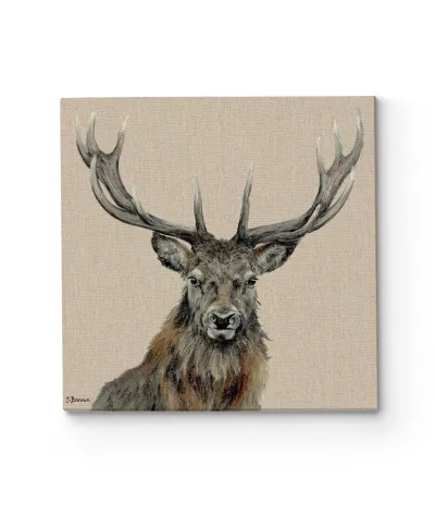 Percival - obraz na płótnie