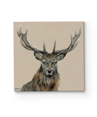 Percival - obraz na płótnie