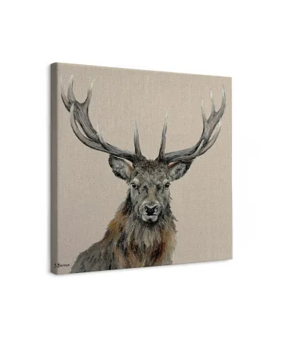 Percival - obraz na płótnie