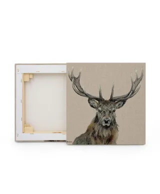 Percival - obraz na płótnie