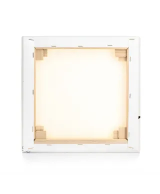 Miss Dinamo - obraz na płótnie