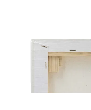 Miss Dinamo - obraz na płótnie