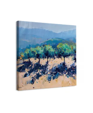 Morning Shadows Simou - obraz na płótnie