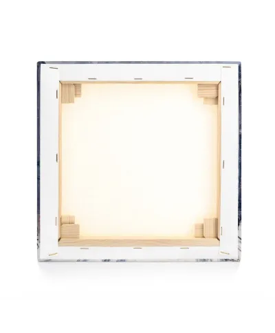 Wintry Whitehall - obraz na płótnie