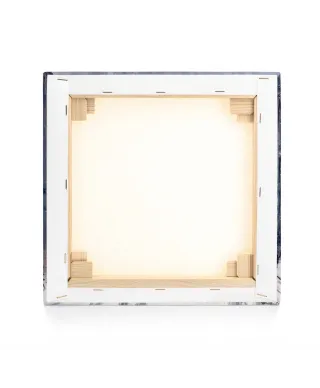 Wintry Whitehall - obraz na płótnie