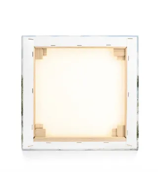 White Sands I - obraz na płótnie