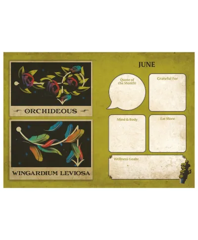 Harry Potter - kalendarz książkowy A5 2026