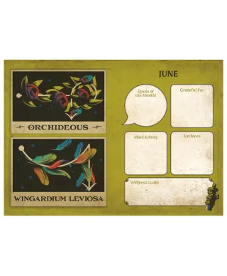 Harry Potter - kalendarz książkowy A5 2026