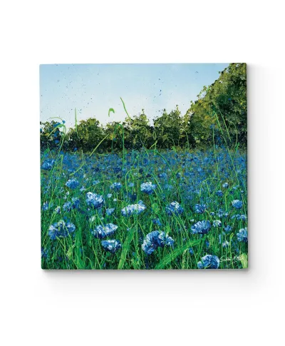 Cornflower Meadow - obraz na płótnie