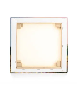 Wildflower Meadow - obraz na płótnie