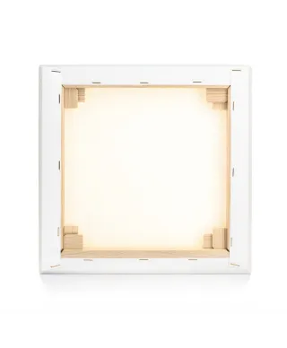 Happy Lion - obraz na płótnie