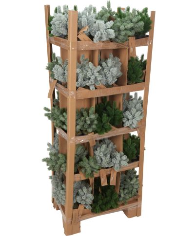 CHOINKA W CZARNEJ DONICZCE 22CM