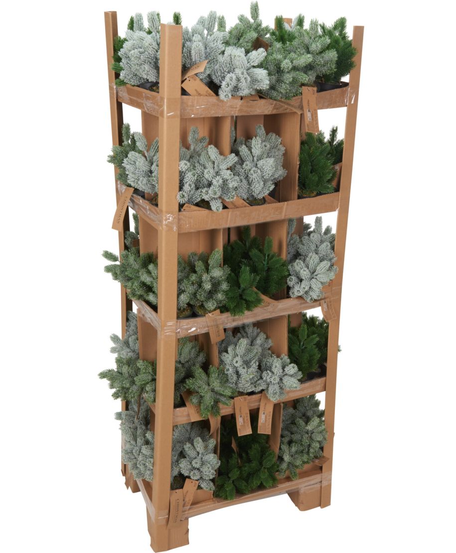 CHOINKA W CZARNEJ DONICZCE 22CM