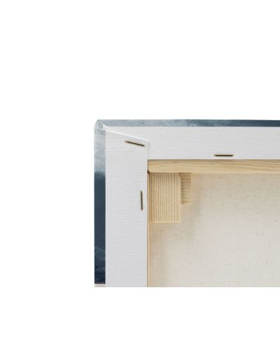 Silver Light Lewis - obraz na płótnie