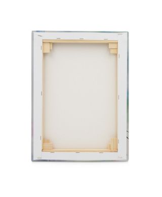 Tropical Beauty - obraz na płótnie