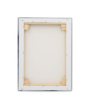 Owl Watching - obraz na płótnie