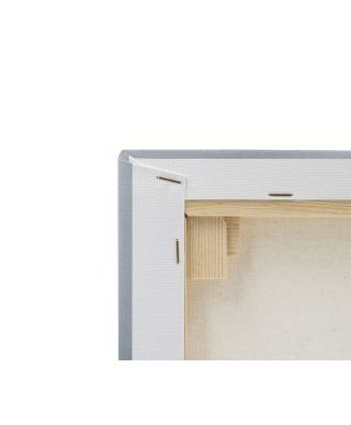 Owl Watching - obraz na płótnie