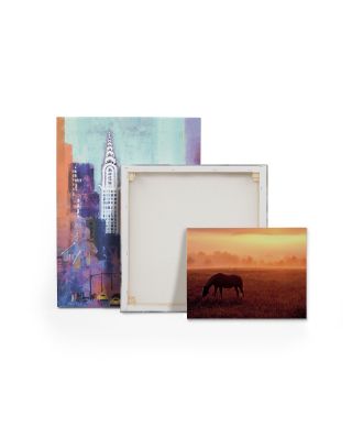 Horse In Pasture - obraz na płótnie