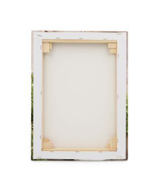 Entrée Du Château - obraz na płótnie