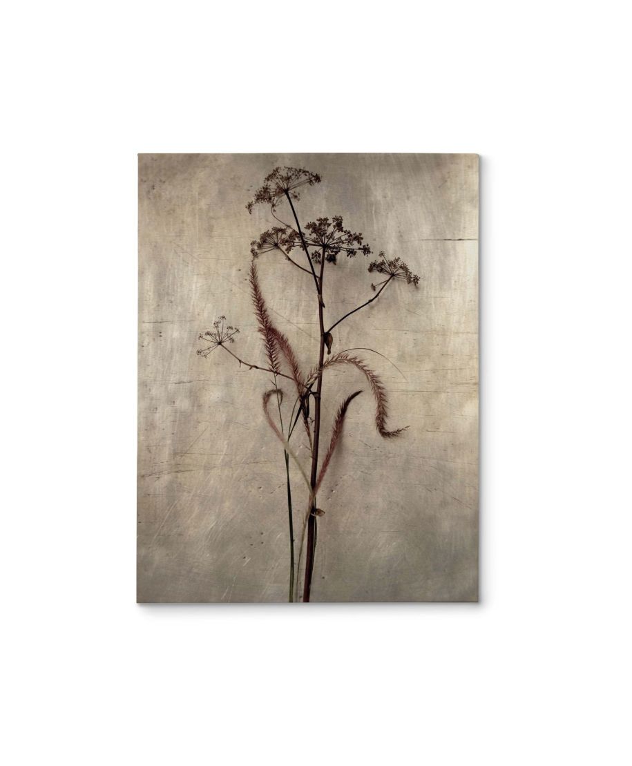 Dried Grasses II - obraz na płótnie